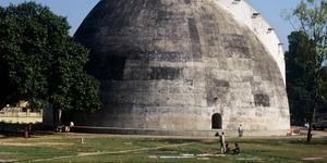Abenteuer entlang der Mosel